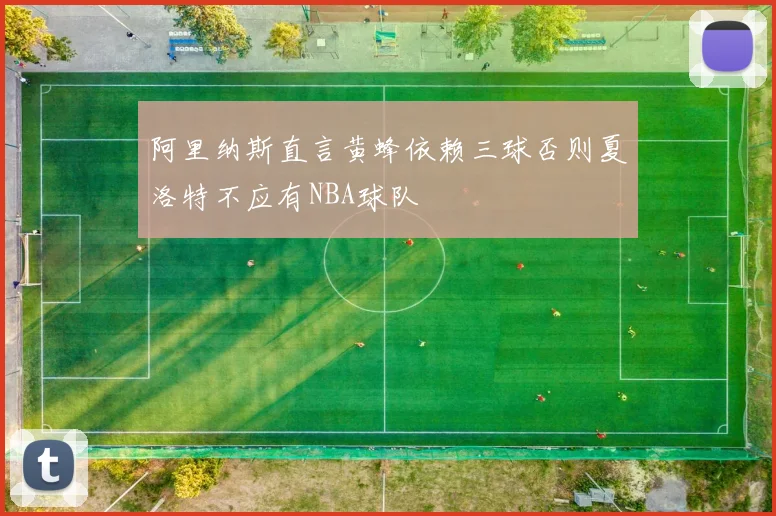 阿里纳斯直言黄蜂依赖三球否则夏洛特不应有NBA球队
