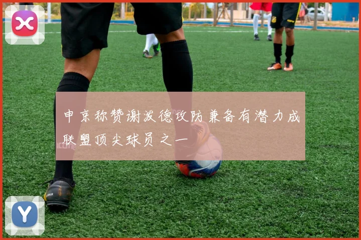 申京称赞谢泼德攻防兼备有潜力成联盟顶尖球员之一
