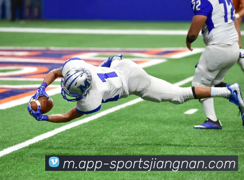 江南体育平台生态图